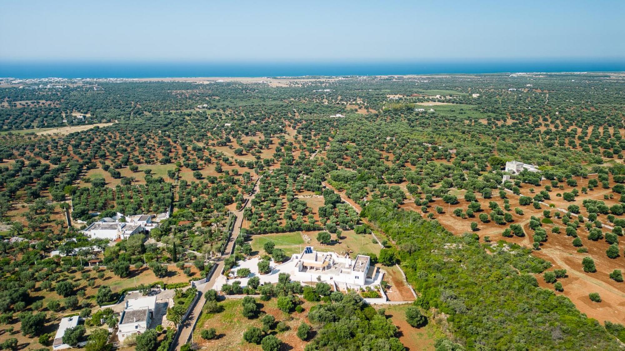 Masseria Abadia Uno Ostuni Exteriör bild
